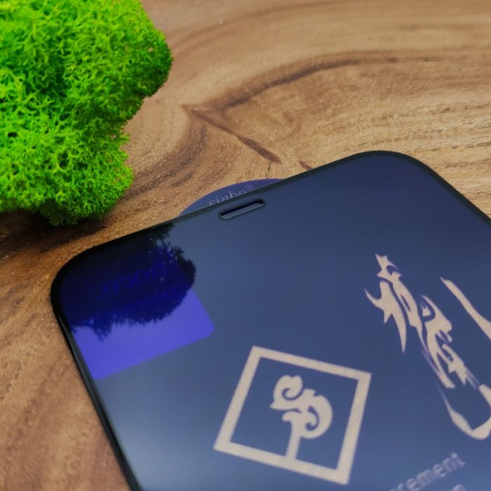 3DGLASS HOCO Rinbo IPHONE 12 (6.7) BLACK