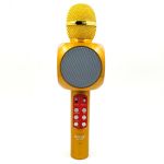 Беспрофодной караоке Bluetooth микрофон с возможностью изменения голоса и LED подсветкой WS-1816