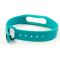 Силиконовый ремешок браслет для Mi Band 2 Green
