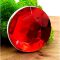 Держатель для телефона PopSocket Sapphire Red